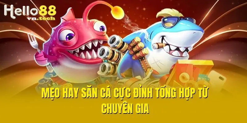 Mẹo hay săn cá cực đỉnh tổng hợp từ chuyên gia